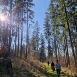 0198d4ec-2aec-4fe7-bb29-530d30d0a123