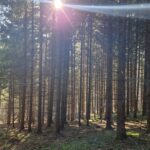 200bdb3a-eebb-48d4-9e42-148a3f2d6fa7